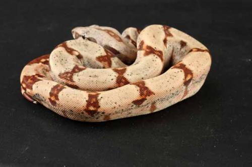 1205hypoca06m6-21