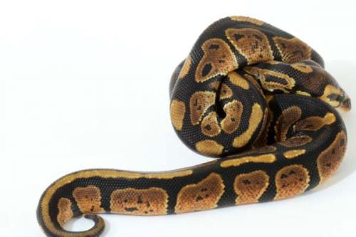 1308granite02f6-7